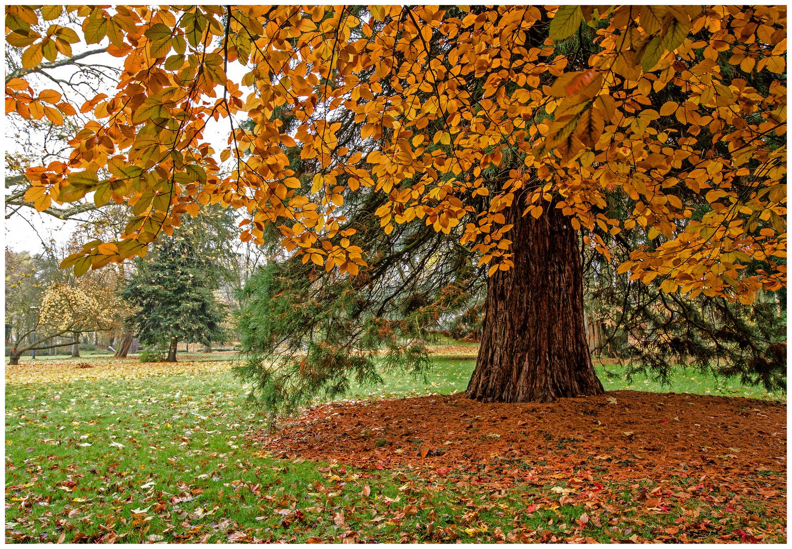 Herbst