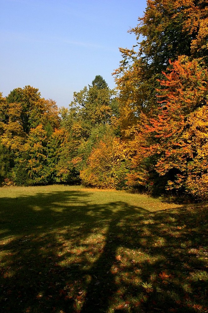 Herbst