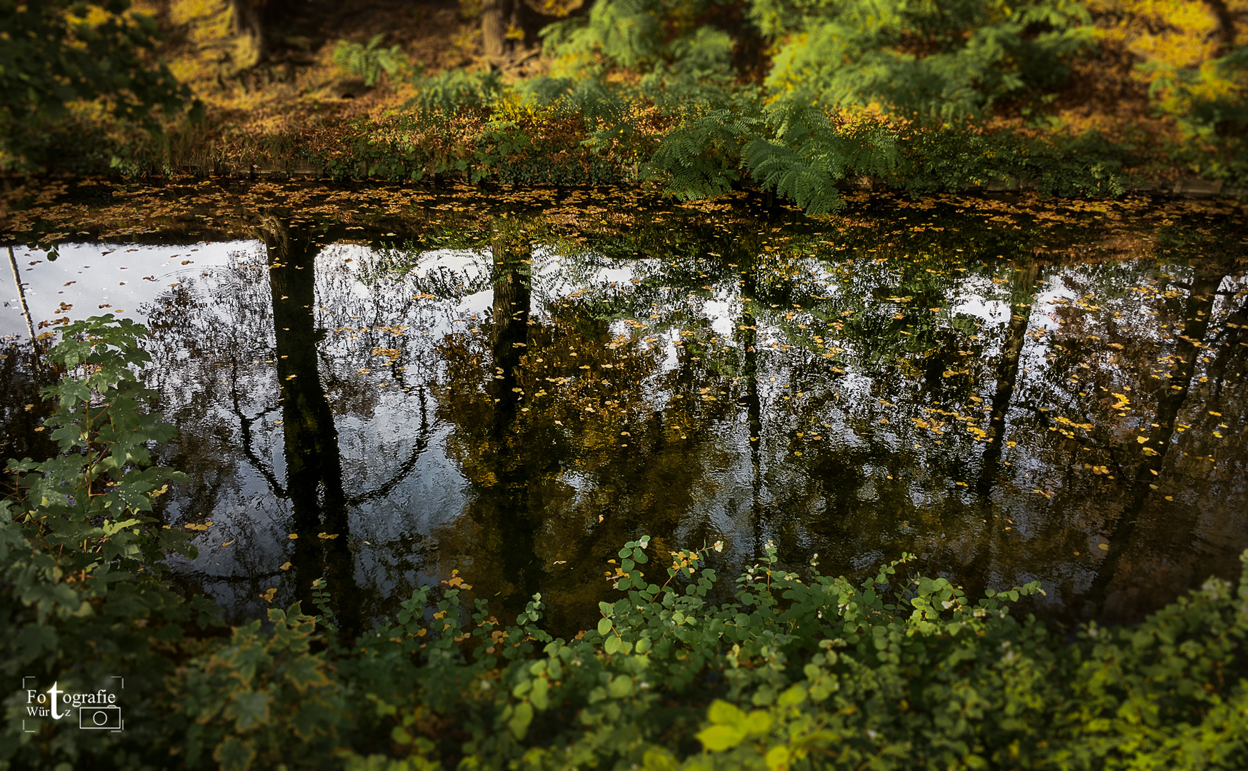 Herbst