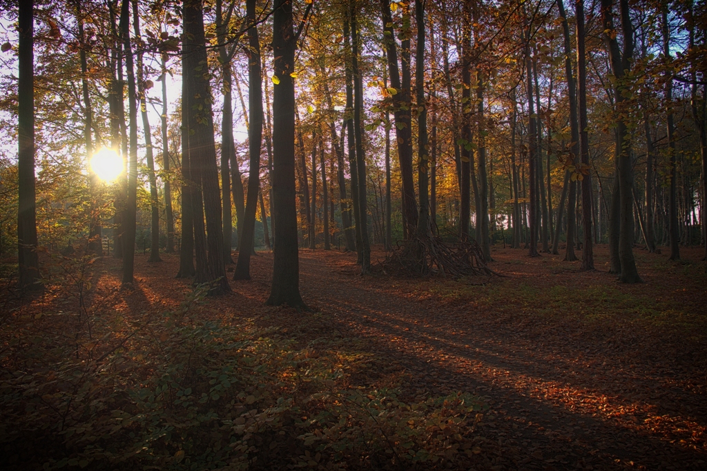 - Herbst -