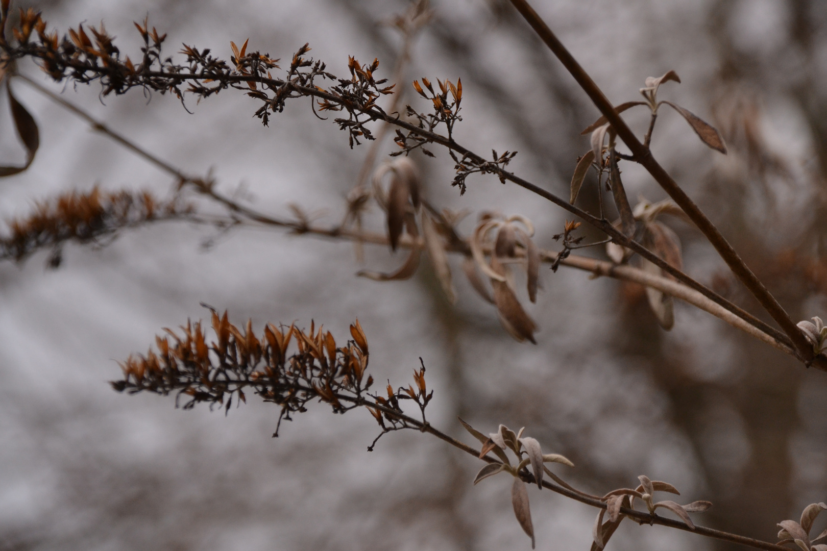 Herbst