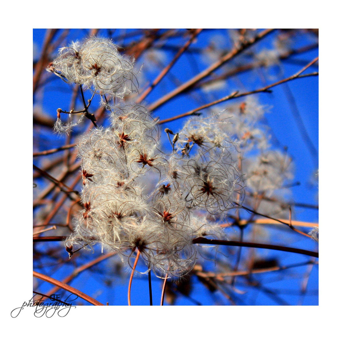 ... Herbst...