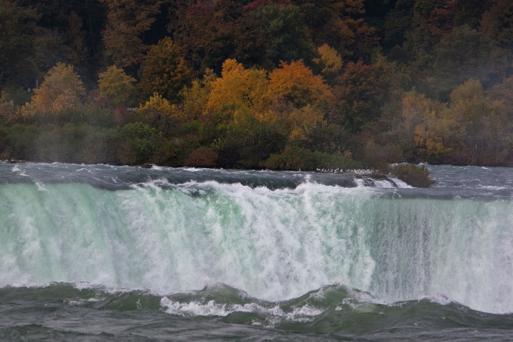 Herbst Fälle