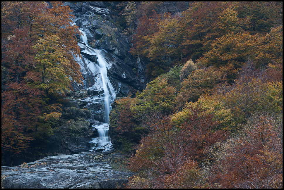 Herbst - Fall