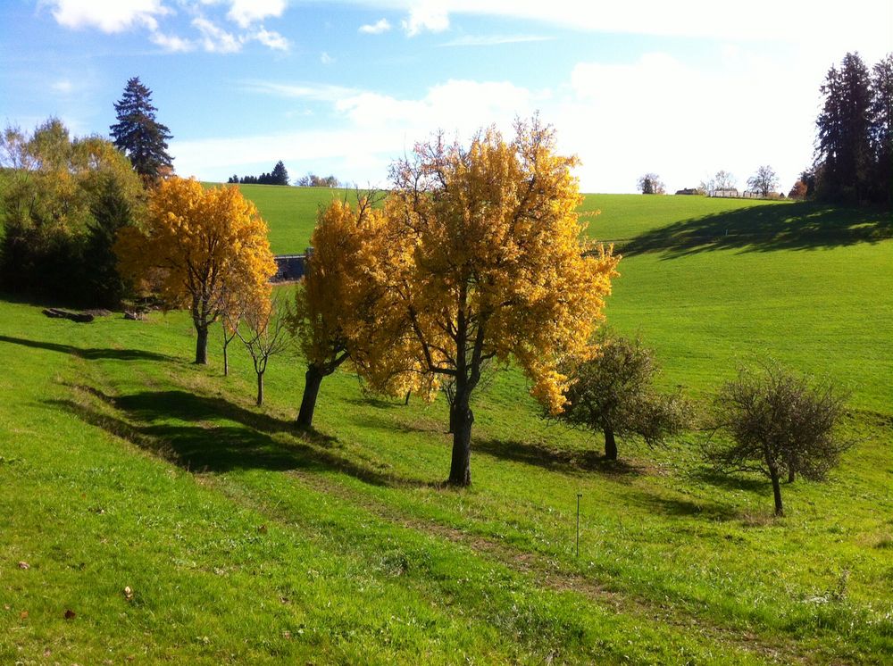 Herbst-Farbe