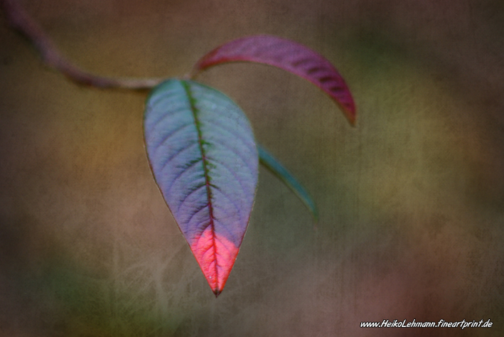 Herbst Farbe