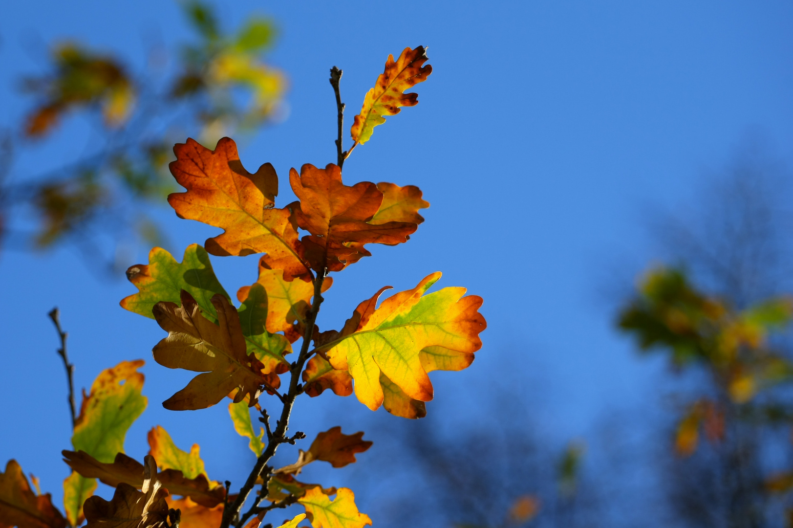 Herbst Farben