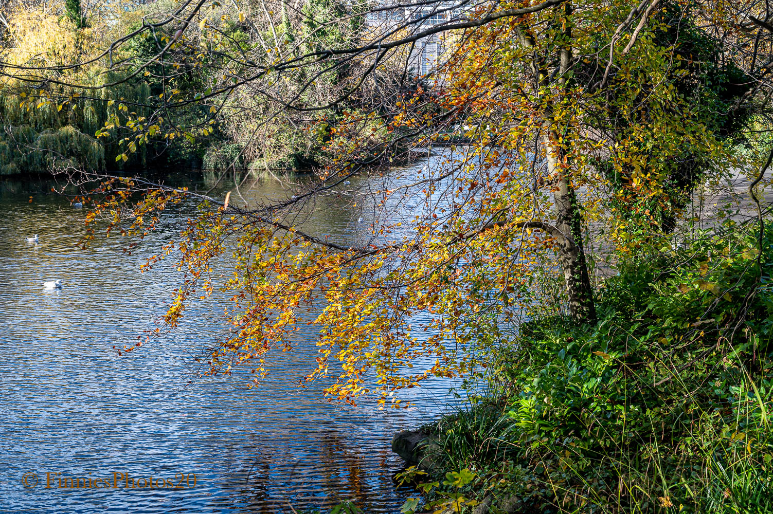 Herbst Farben