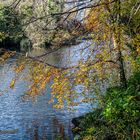 Herbst Farben