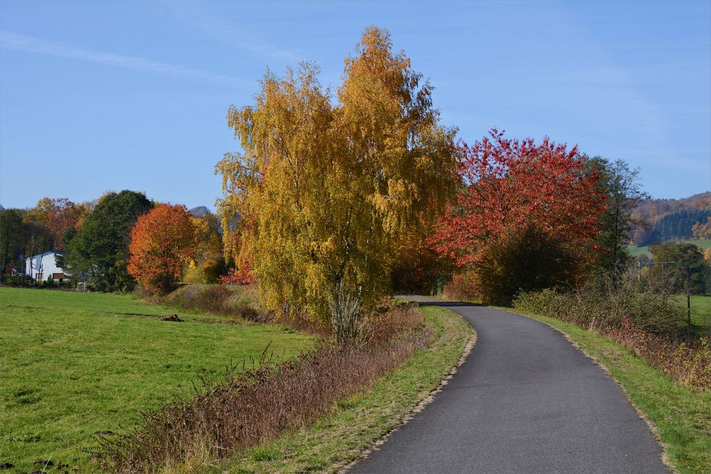 Herbst-Farben-2