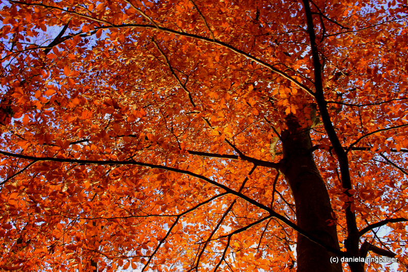 herbst farben