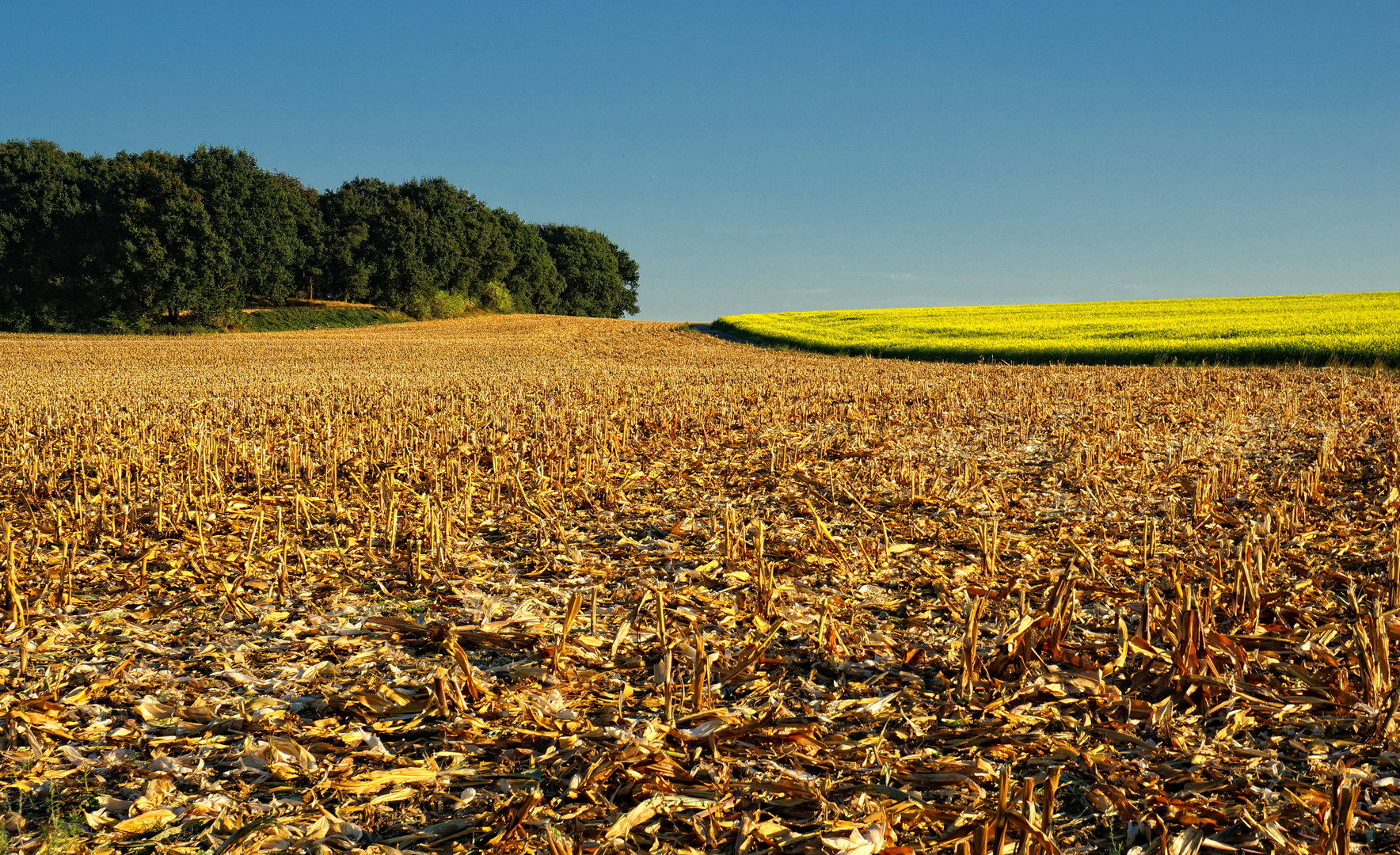 Herbst-Farben