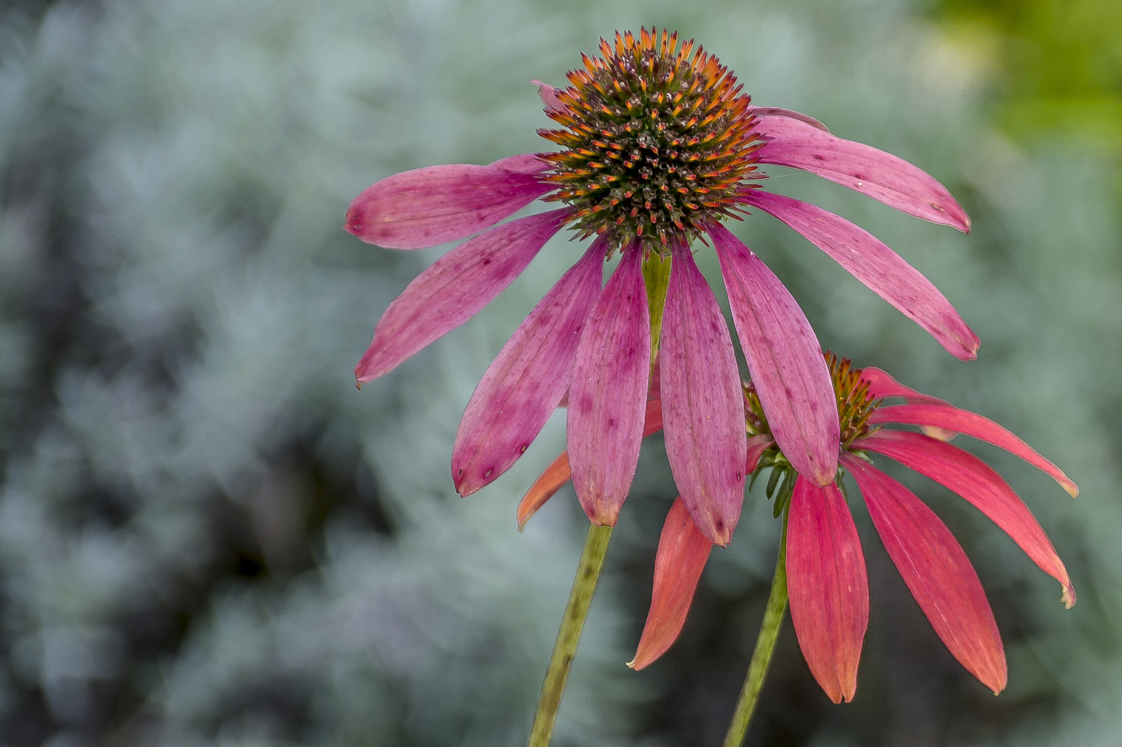 Herbst - Farben