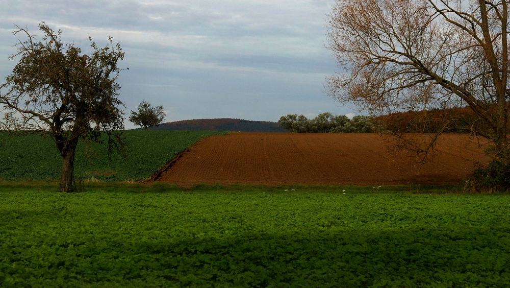 Herbst (farben)