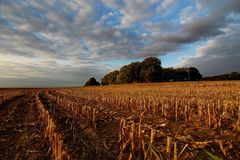 Herbst-Farben