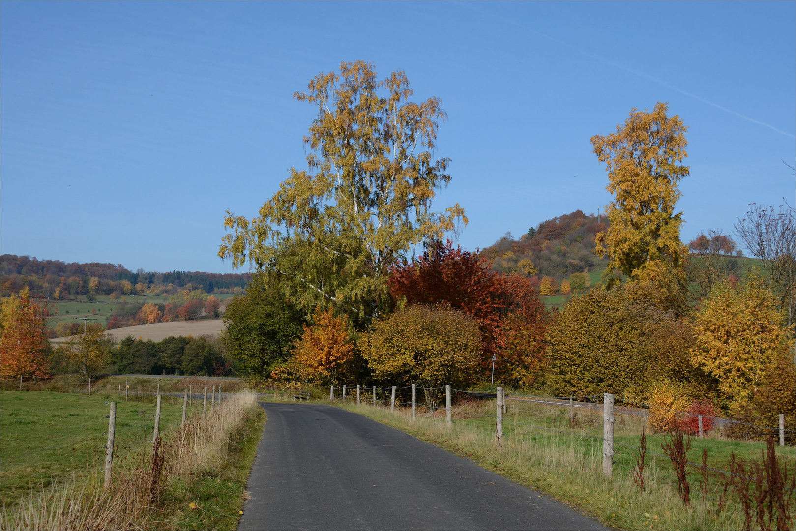 Herbst-Farben