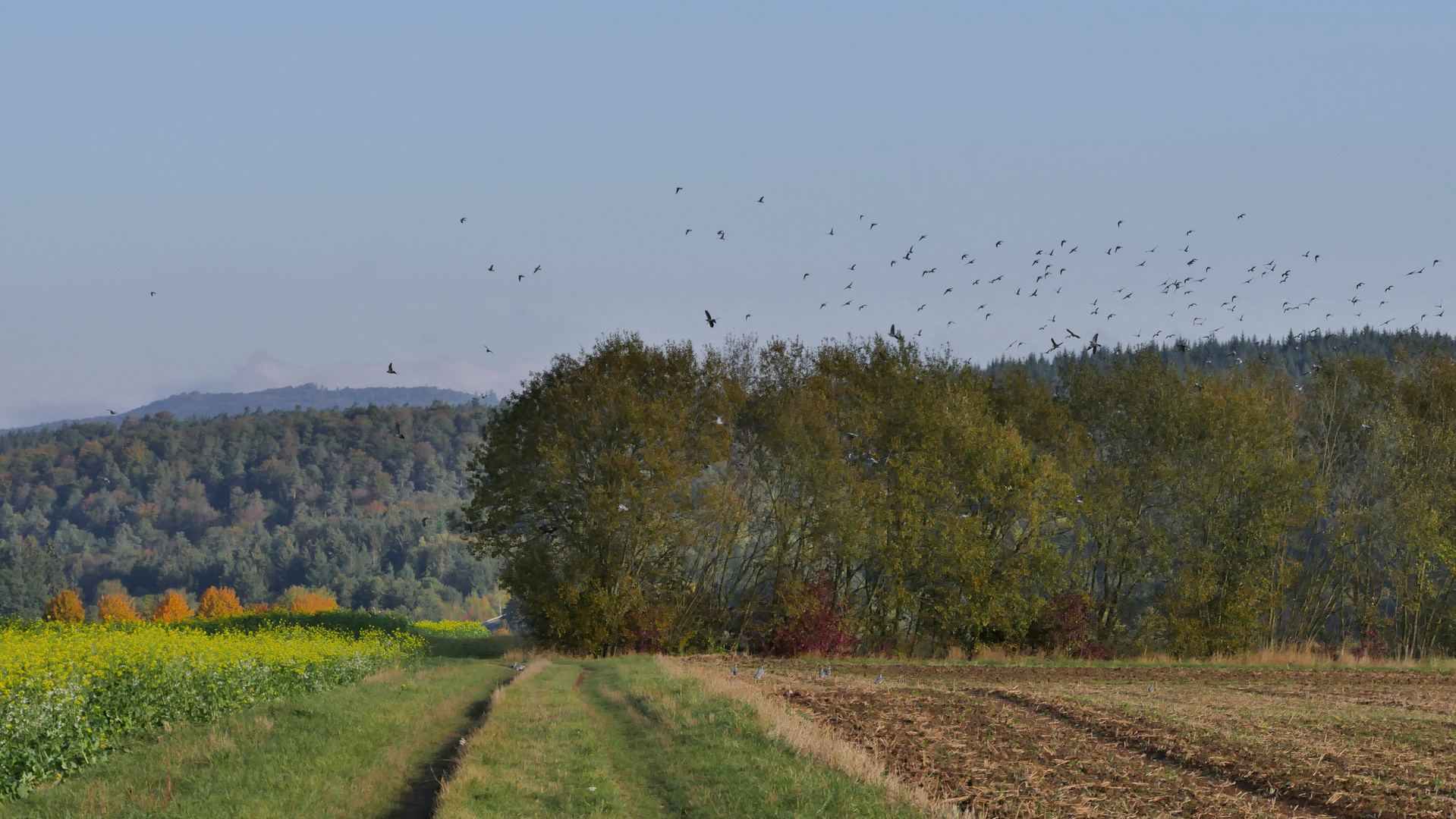 Herbst-Farben