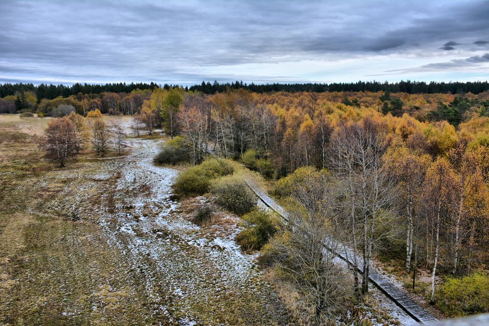 Herbst-Farben