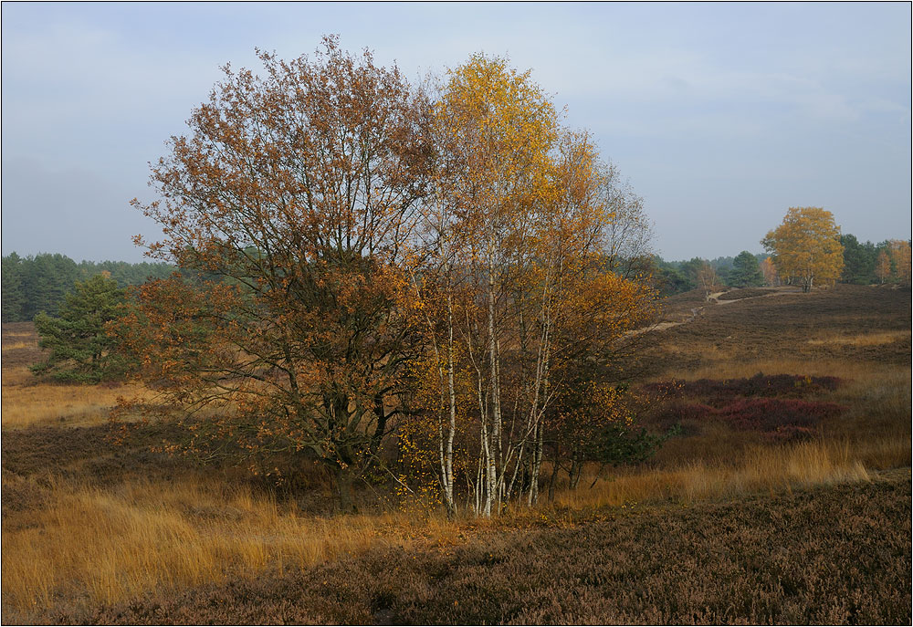 Herbst Farben