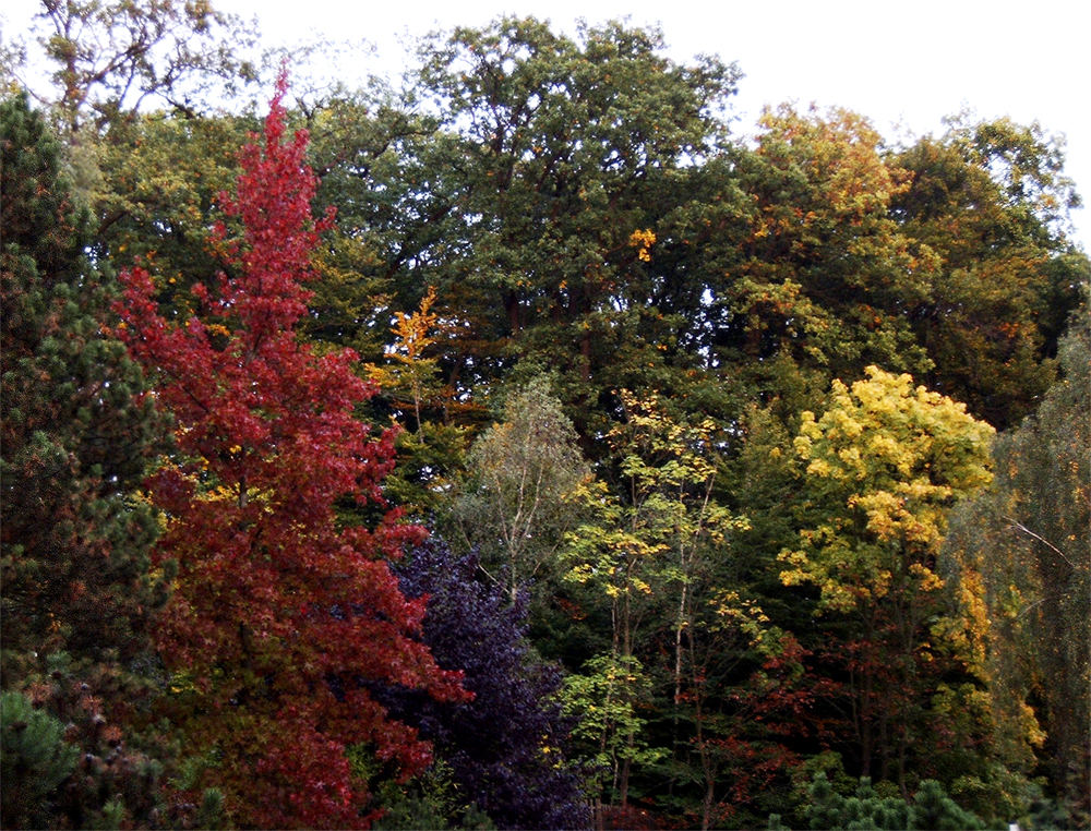 Herbst Farben