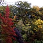 Herbst Farben