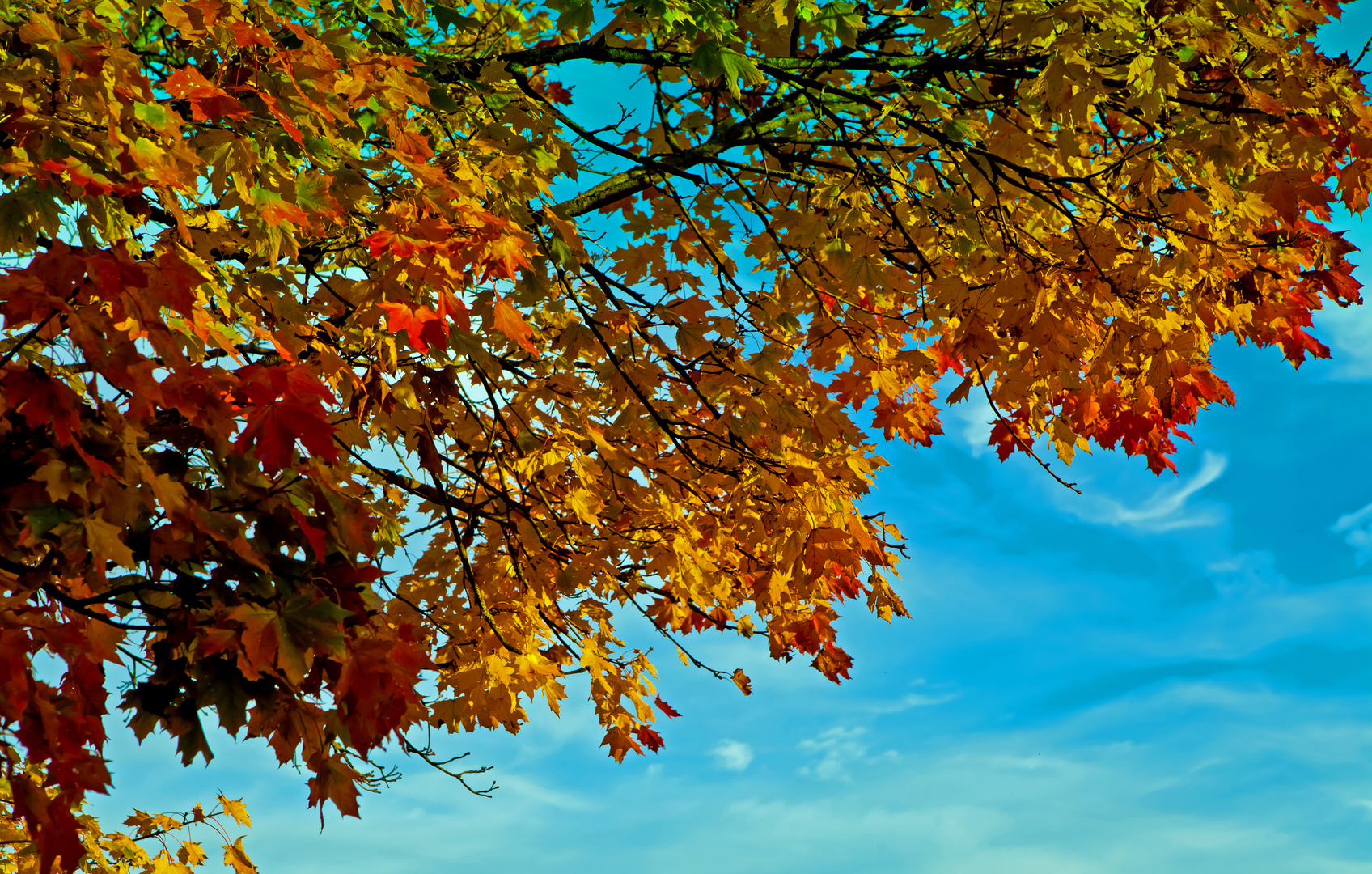 Herbst-Farben