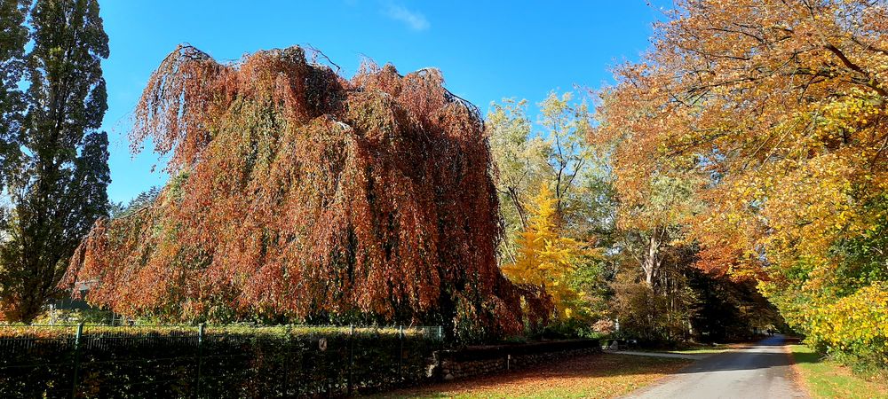 Herbst Farben