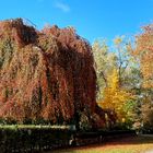 Herbst Farben