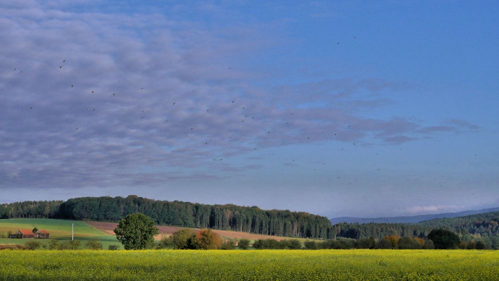 Herbst-Farben