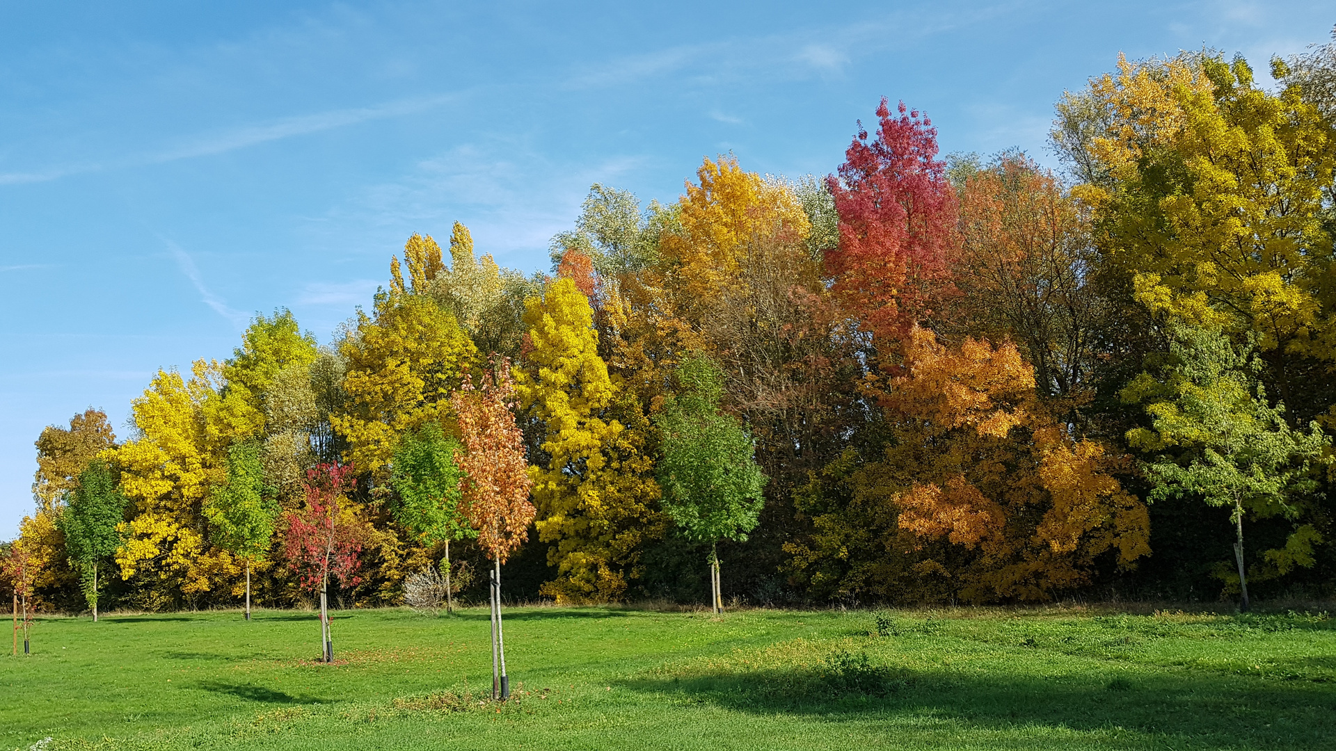 Herbst-Farben