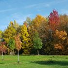 Herbst-Farben