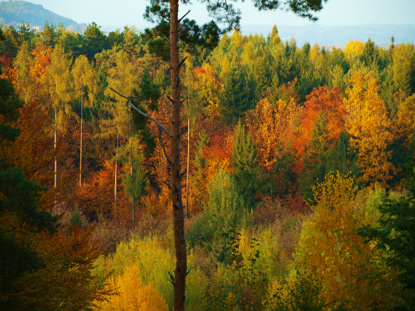 Herbst farben