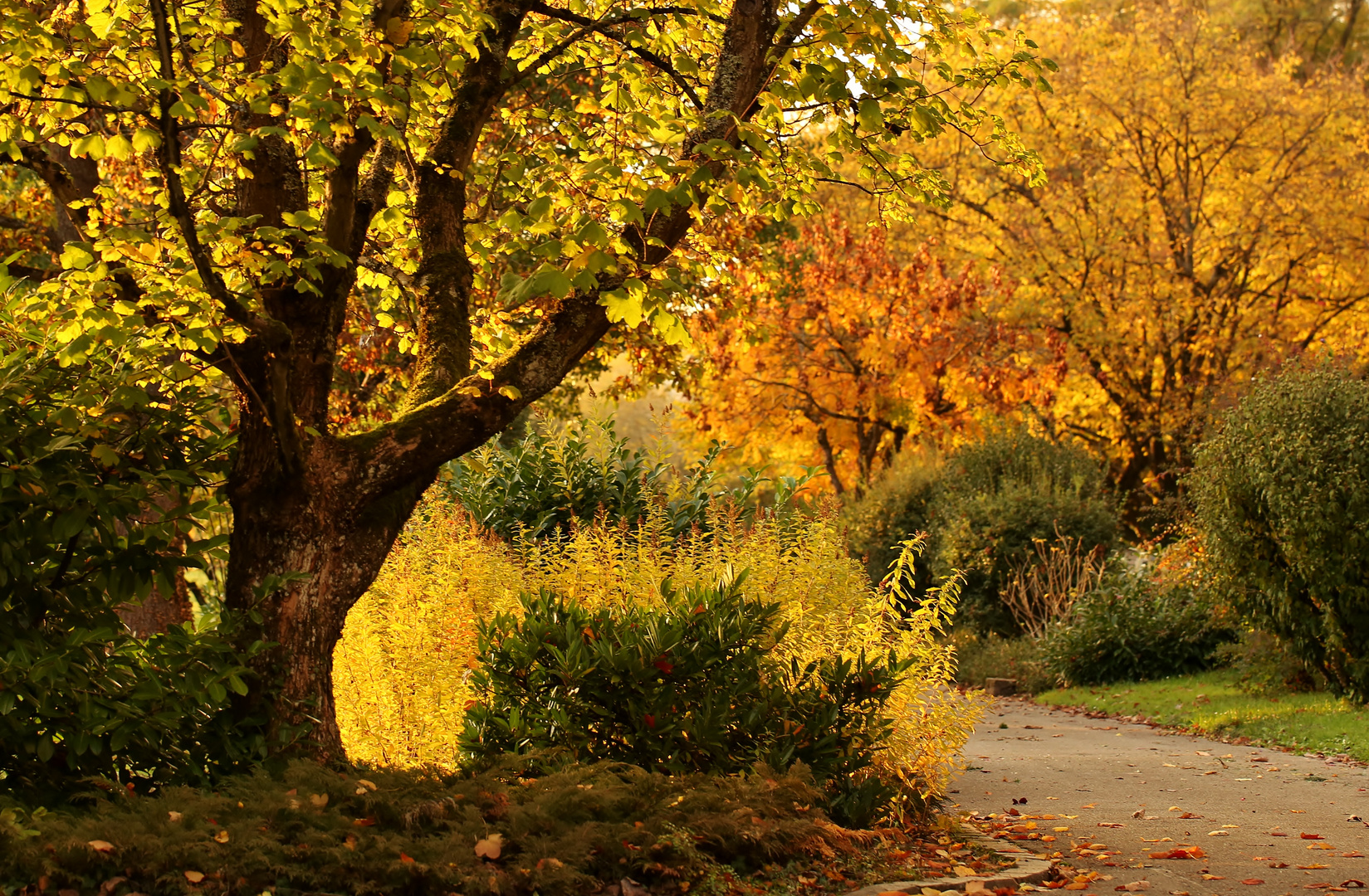 Herbst Farben