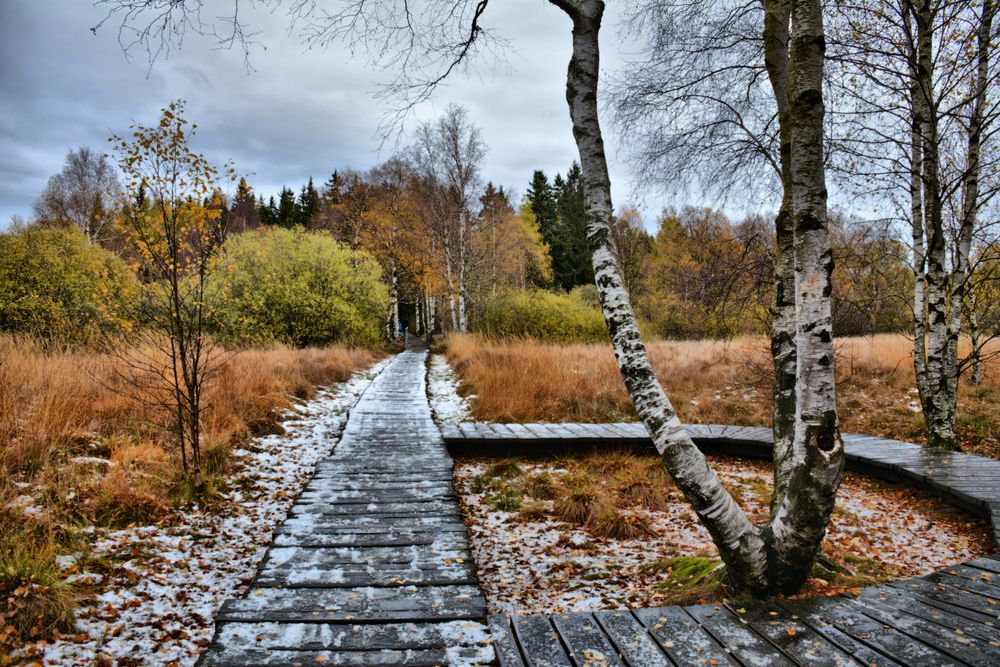 Herbst - FARBEN