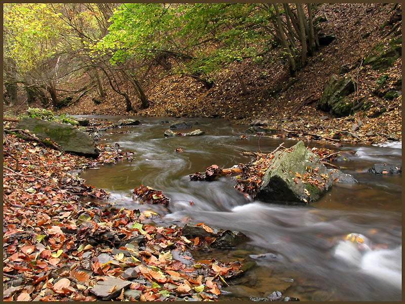 Herbst - Farben