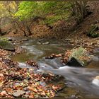 Herbst - Farben