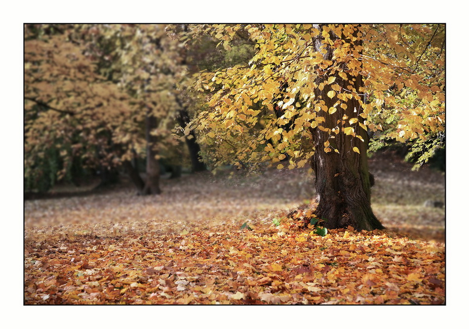 Herbst-Farben