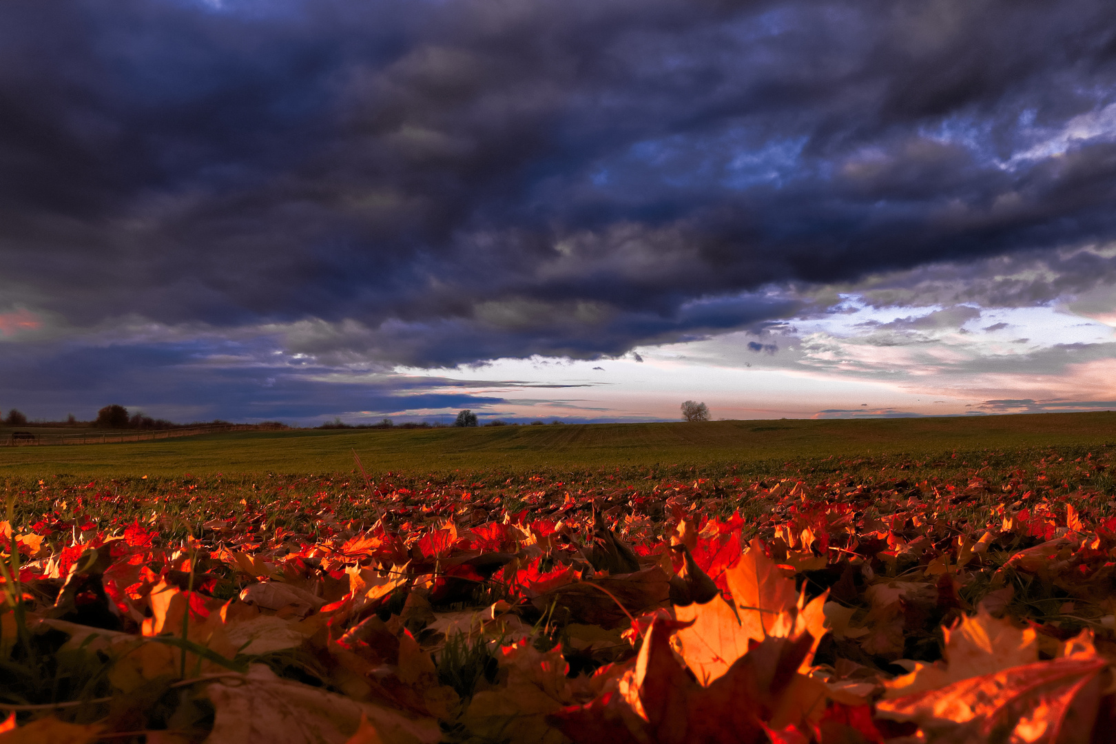 Herbst - Farben