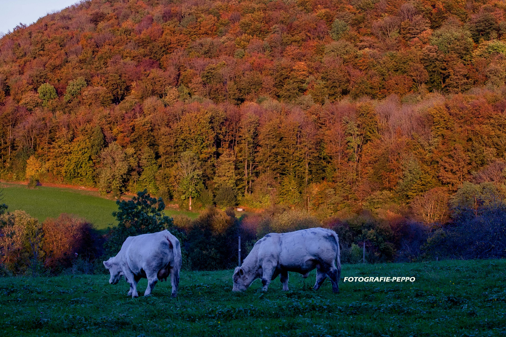 Herbst-Farben-Rausch