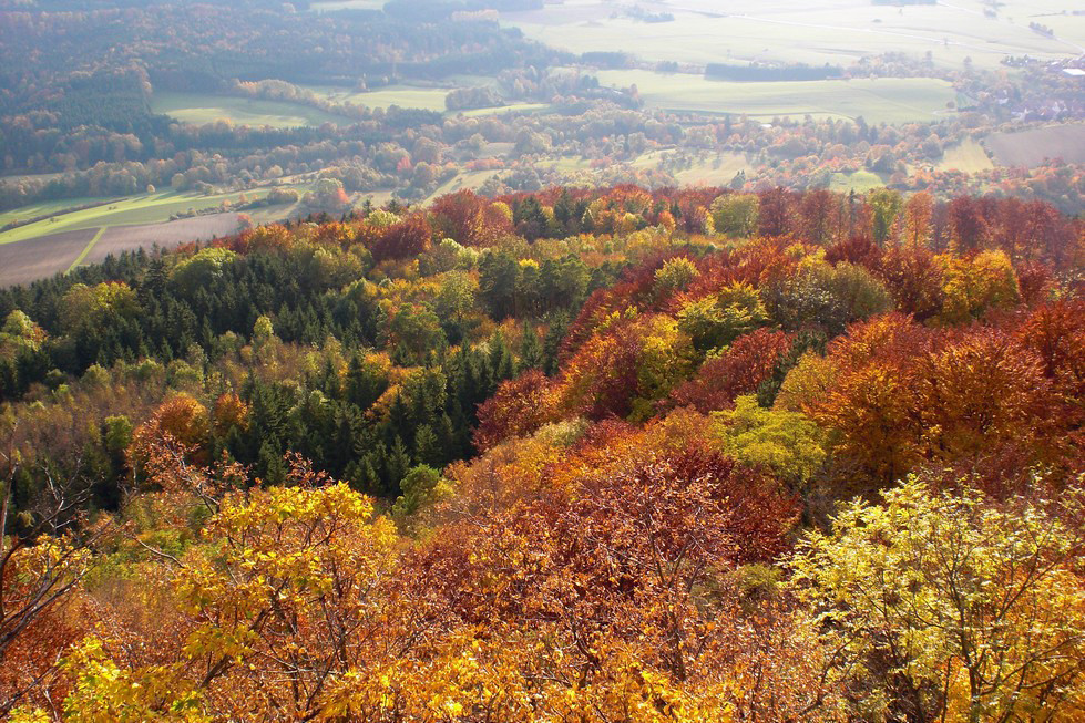 Herbst _ Farben so schön