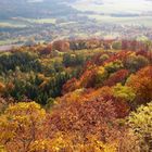 Herbst _ Farben so schön