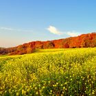 Herbst Farben und Formen (Landschaft)