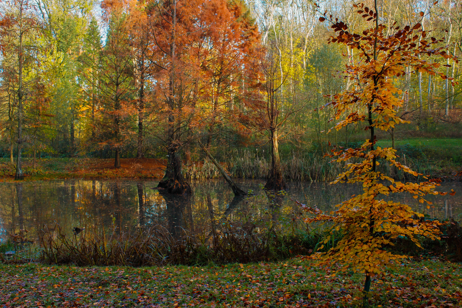 Herbst =Farben und Regen