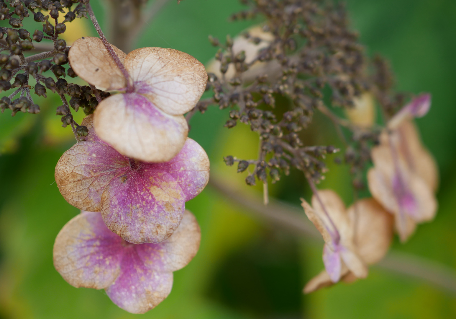 Herbst farbenfroh