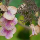 Herbst farbenfroh