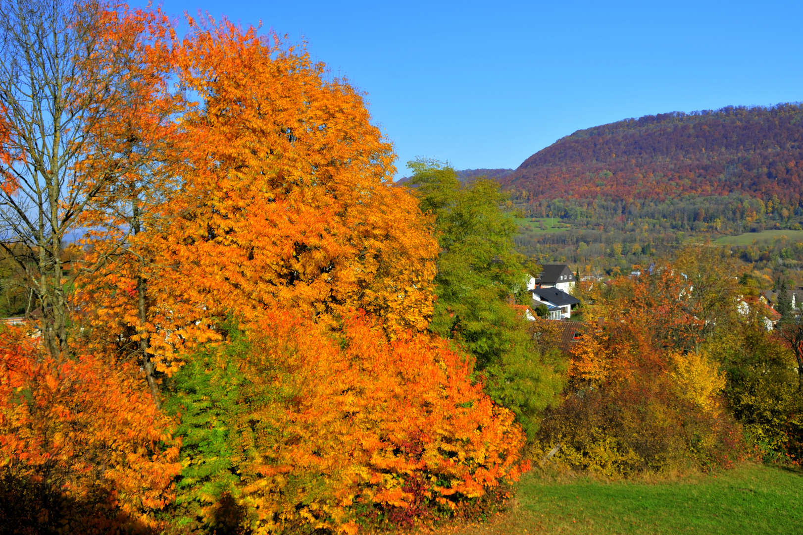 Herbst-Farbenpracht