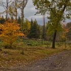 Herbst -Farbenspiel