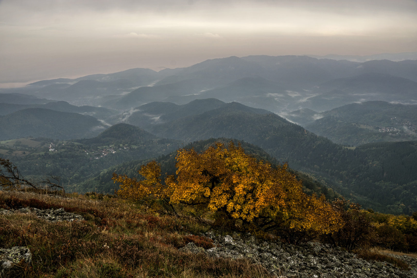 Herbst-Farbtupfer