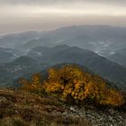 Herbst-Farbtupfer