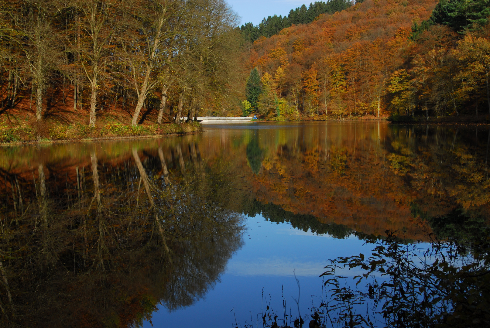 Herbst